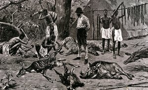Um ótimo dia de caça! 1900 (gravura) de Unbekannter Künstler