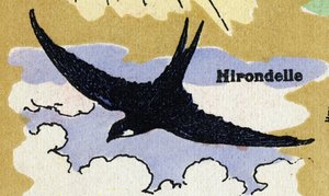 Uma andorinha. Alfabeto ilustrado. Imagens reunidas em Jarville-Nancy, início do século XX. Dimensões: 40 x 29 cm. Litografia sobre fundo de bistre. de Unbekannt