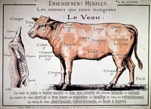 Animais que comemos: o vitelo, c. 1910 (impressão) de Unbekannter Künstler