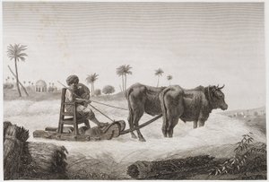 Arable Farming, Harvesting Threshing machine, Egypt, c 1798 de Unbekannt