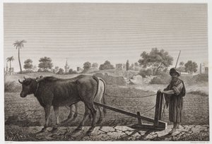 Lavoura Arável, Lavoura com bois, Egito, c 1798 de Unbekannt