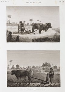 Arable Farming, Ploughing Threshing machine and plough, Egypt, c 1798 de Unbekannt