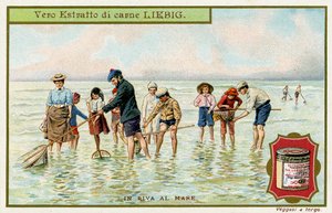 À beira-mar: Pescar com redes de Unbekannter Künstler