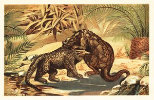 Batalha entre um Megalosaurus bucklandii e Iguanodon bernissar1908 (litografia) de Unbekannter Künstler