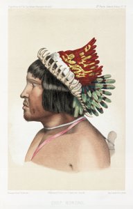 Chefe Bororo, América do Sul, c 1843-1847 de Unbekannt