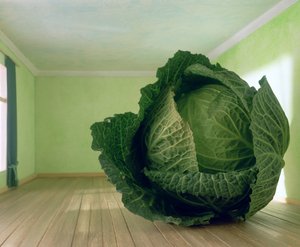 Couve (depois de Magritte) de Unbekannter Künstler