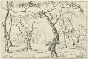 Cannock Chase: desenho a caneta e lápis, séc. XIX de Unbekannt