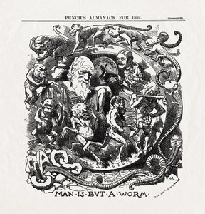 Cartoon sobre a Teoria da Evolução de Charles Darwin (1809-1882): "Man is but a worm" (O homem não passa de um verme) de "Punch" 06/12/1881 de Unbekannter Künstler