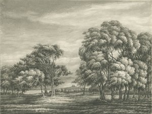 Igreja do Castelo - Stafford Castle: sepia drawing, nd [ 19th cent] de Unbekannt