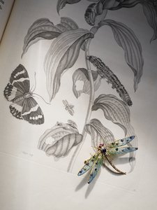 Deborah Devonshire