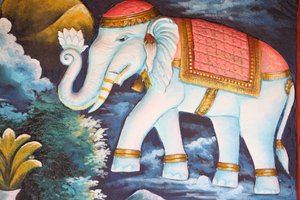 Elefante devoto. Siem Reap Camboja de Unbekannt