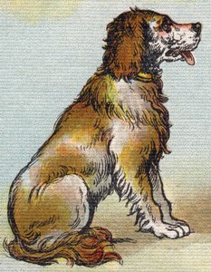 Cão. Gravura em "Alfabeto de ma petite fille". Bernardin-Bechet e Fils, livreiro-editores, Paris, por volta de 1895. Álbum inquebrável em lona. Bibliotheque des Bebes. 12 páginas. Álbum contendo um método de leitura e um abecedário ilustrativo. Dim: 29,5 de Unbekannt