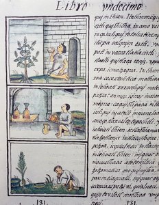 Plantas comestíveis, página do Livro XI do Codex Florentino, versão bilíngue em espanhol e Nahuatl, História Geral das Coisas da Nova Espanha, do missionário espanhol Fray Bernardino de Sahagun (1499-1590). A civilização asteca de William M. Timlin