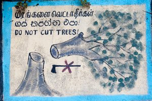 Proteção ambiental; placa pintada; "" Não cortar árvores" representando uma árvore cortada e um machado cruzado; Nuwara Eliya; Sri Lanka; Ásia de Unbekannt