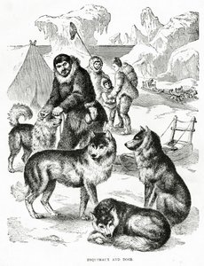 Esquimós e Cães. 1902 (litho) de Unbekannt