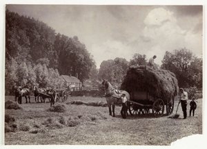 Cenas de Agricultura, Colheita e Armazenamento, Pré-1900 Haymaking, c 1890 de Unbekannt