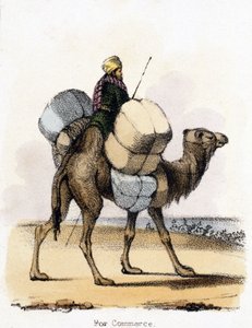 Para o comércio