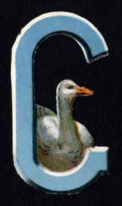 G como o Goose. Decoupis de escaravelho sobre o tema dos animais. Gravura. Série de 26 cromolitógrafos de waffle de origem inglesa. Editor e ilustrador desconhecido. Fim do século XIX. Dim: 5,5x3,5cm. de Unbekannt