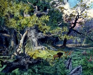 Floresta alemã de Unbekannter Künstler