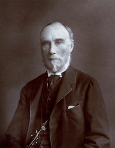 Retrato a meio corpo do Vice-Rei das Índias Thomas Baring Conde de Northbrook de Unbekannter Künstler