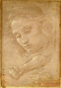 Chefe de uma juventude, extraído de uma página do "Livro dos desenhos", de Georgio Vasari de Unbekannt