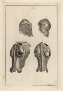 Capacete 1,2, e chanfron de ferro ou chafron 3,4 que pertenceu a Guy, Conde de Warwick. de Unbekannt