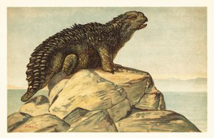 Hylaeosaurus armatus, dinossauro anquilosauriano herbívoro extinto1908 (litografia) de Unbekannter Künstler