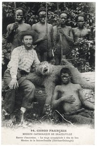 O macaco-citocefálico de cabeça de leão, c.1910 (litho) de Unbekannt