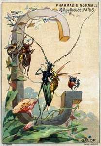 Carta G como Galop. O alfabeto artístico do Sr. Marinier. Editado por Henry Sicard, finais do século XIX. Cromolitógrafos publicitários para produtos vendidos em farmácias. Dim: 12,5 x 9 cm de Unbekannt