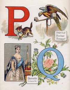 Carta P e Q: gato pequeno, poleiro, papagaio e quenet, a taxa certa. Gravação em "ABC L