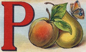Carta P como pêssego, pêra e borboleta. Gravura em "Alfabeto de ma petite fille". Bernardin-Bechet e Fils, livreiro-editores, Paris, por volta de 1895. Álbum inquebrável em lona. Bibliotheque des Bebes. 12 páginas. Álbum contendo um método de leitura e um de Unbekannt