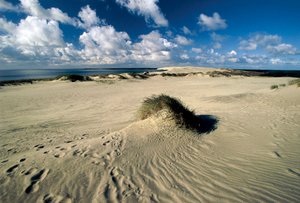 Lituânia, Klaipeda, Curonian Spit, Nida, dunas de areia em movimento chamadas Prussian Sahara de William M. Timlin