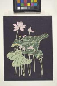 Lotus (papel cortado multicolorido) de Unbekannter Künstler