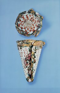 Caixas de rapé de ouro Luís XV em forma de conchas por B.Sagaret, Paris (1715-74) de Unbekannt