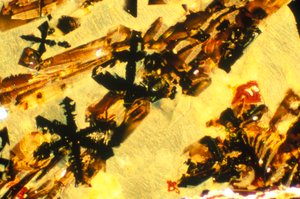 METALS, MINERAIS, FERROUS, escória de ferro de Unbekannt