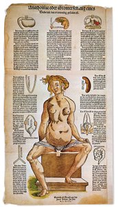 Medicina: prancha anatómica que descreve a anatomia feminina a partir de um tratado médico renascentista. Em torno da figura de uma mulher sentada, são enumerados e ilustrados órgãos vitais como o fígado, os pulmões e o diafragma, o estômago e o aparelho r de Unbekannter Künstler