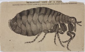 Microscopia de Unbekannt