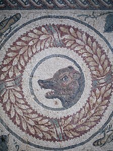 Mosaico do peristilo. Pormenor representando a cabeça de um urso. Século III - IV. Villa Romana do Casale, Sicília. Site da UNESCO. de William M. Timlin