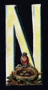 N como o Nest. Decoupis de besouro sobre o tema dos animais. Gravura. Série de 26 cromolitógrafos de waffle de origem inglesa. Editor e ilustrador desconhecido. Fim do século XIX. Dim: 5,5x3,5cm. de Unbekannt