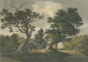Floresta de Needwood: pintura em aquarela, nd [início do século XIX] de Unbekannt