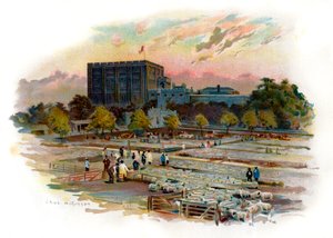 Castelo de Norwich de Unbekannter Künstler