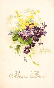 Cartão postal antigo/Violeta e Mimosa de Unbekannt