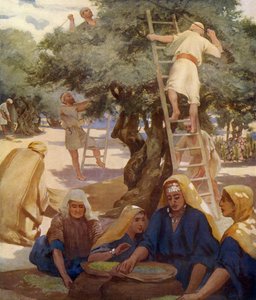 Olival de Unbekannter Künstler