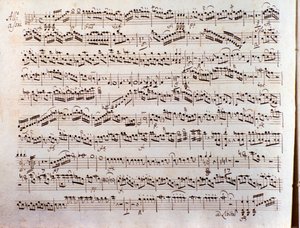 Página de partitura musical de um concertinante Sinfonia de Pleyel de Unbekannter Künstler