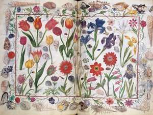 Páginas do Álbum Amicorum de Philipp Hainhofer, 1596-1633 de Unbekannt