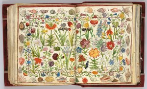 Páginas do Álbum Amicorum de Philipp Hainhofer, 1596-1633 de Unbekannt