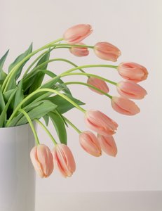 Tulipas cor-de-rosa de Unbekannter Künstler