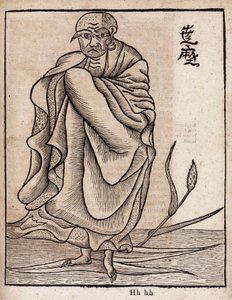 Retrato de Bodhidharma (v de Unbekannt