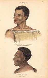 Retrato de Te Kewiti, filho de Te Kauwain, jovem chefe dos Maori Ngate Watnas, Nova Zelândia, e retrato de um Maori tatuado, neozelandês, desenhado em Londres por Agasse. Gravura em metal aço colorida à mão por Lizars após uma ilustração de Charles Hamilto de Unbekannter Künstler