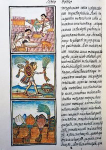 Processamento de penas, texto em Nahuati, de fac-símile do manuscrito História Geral das Coisas da Nova Espanha, também conhecido como Codex Florentino, de Bernardino de Sahagun de William M. Timlin